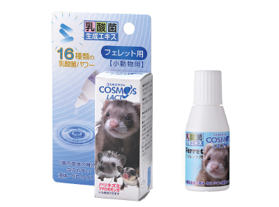 ferret_01
